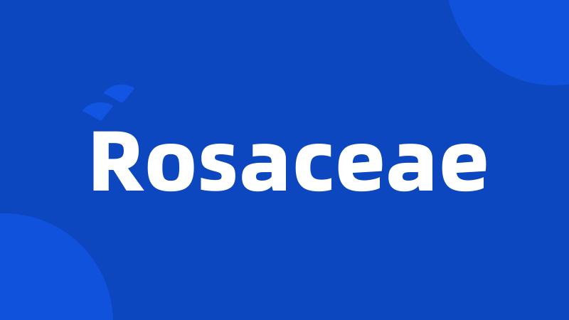 Rosaceae