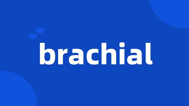 brachial