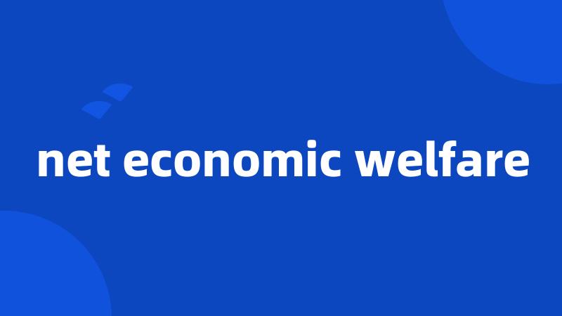 net economic welfare