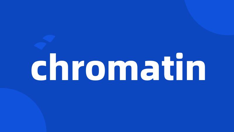 chromatin