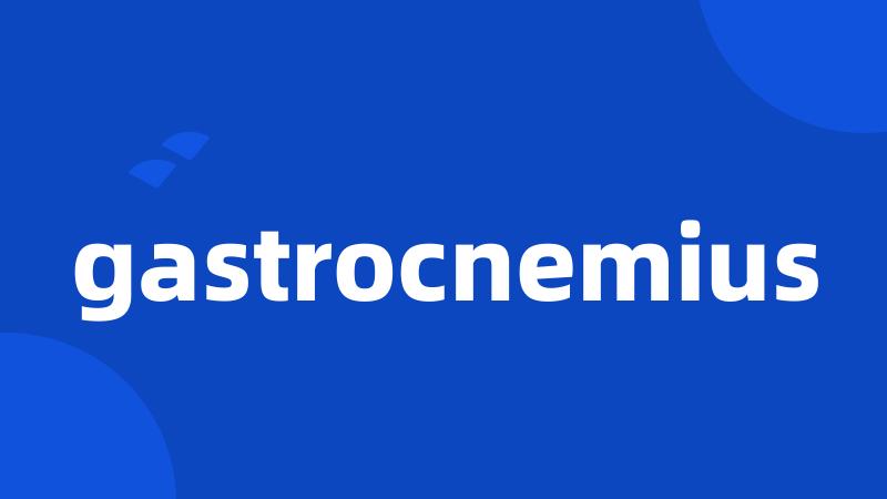 gastrocnemius