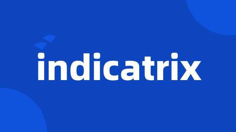 indicatrix