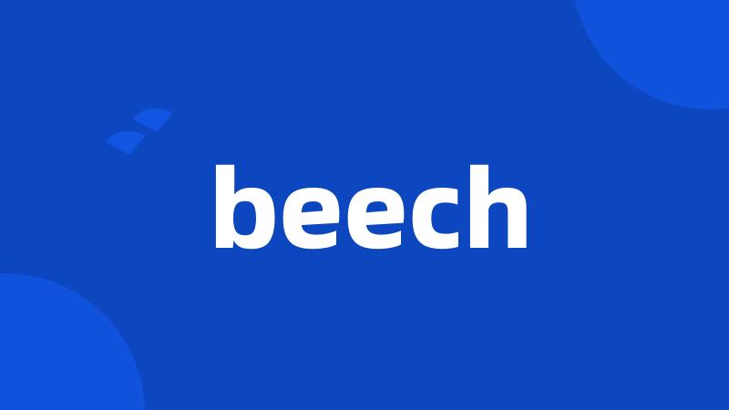 beech