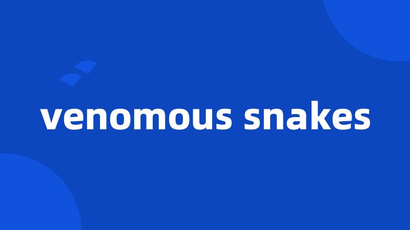 venomous snakes