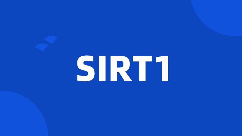 SIRT1