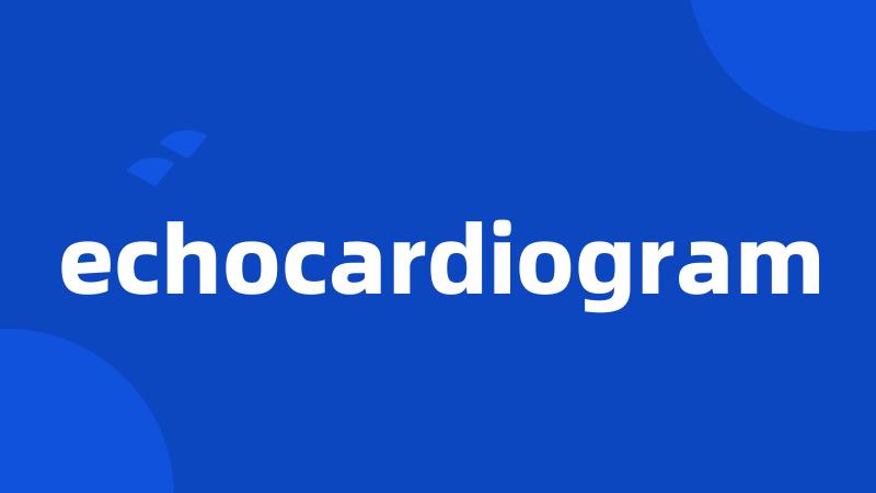 echocardiogram