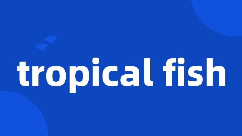 tropical fish