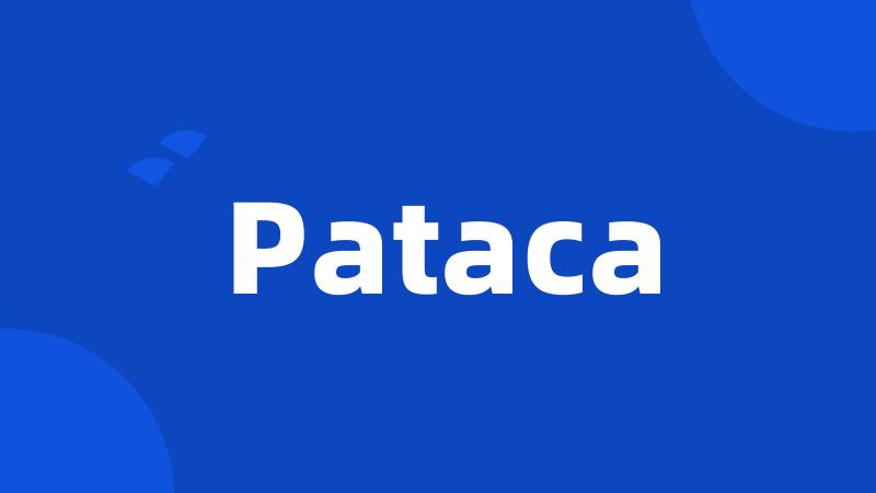 Pataca