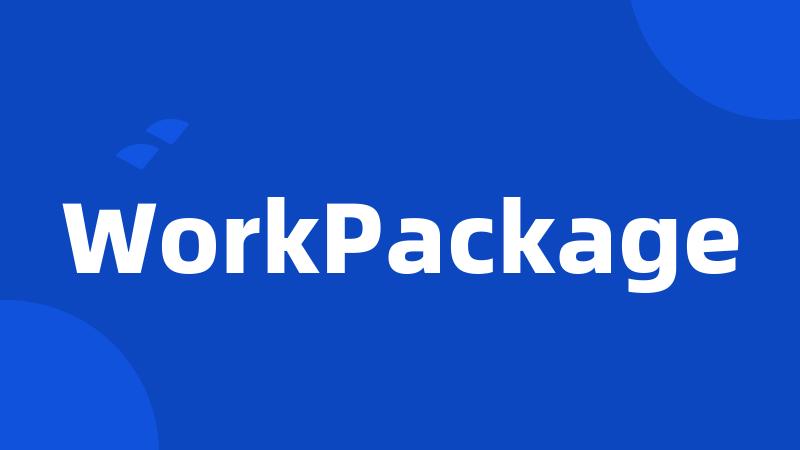 WorkPackage