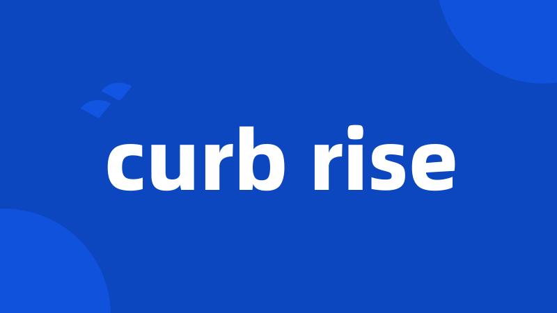 curb rise