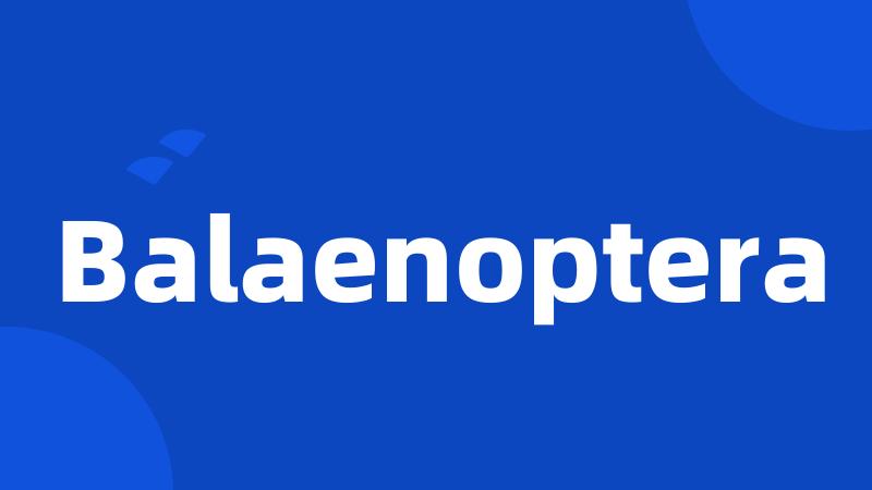 Balaenoptera