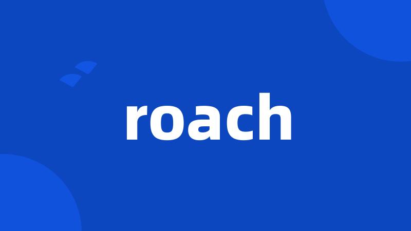 roach