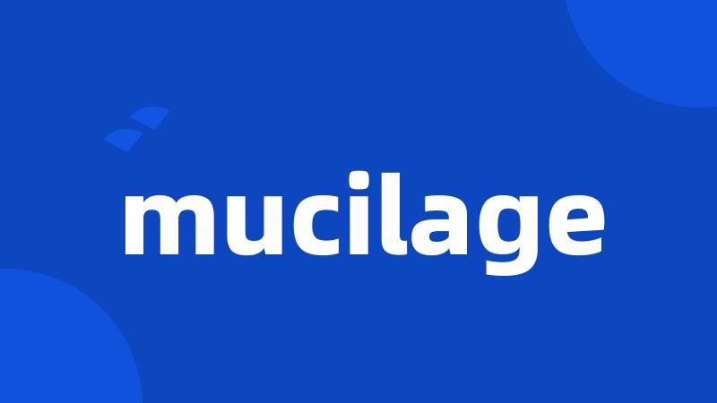 mucilage