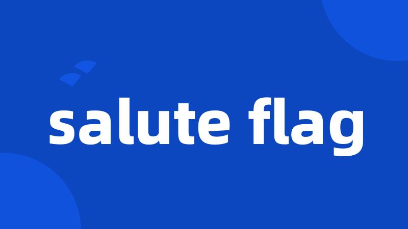 salute flag