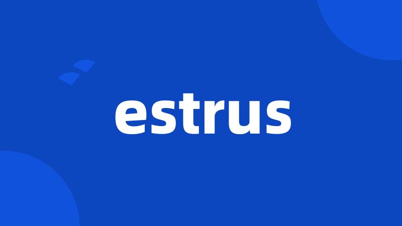 estrus