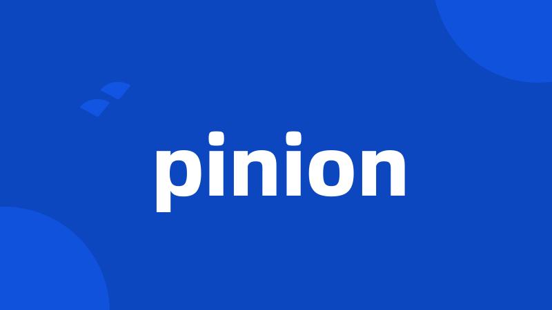 pinion