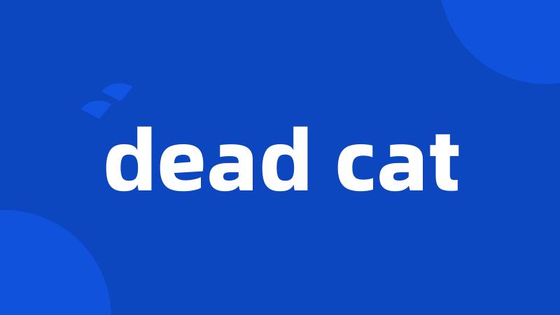 dead cat