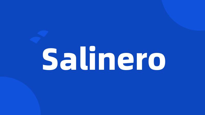 Salinero