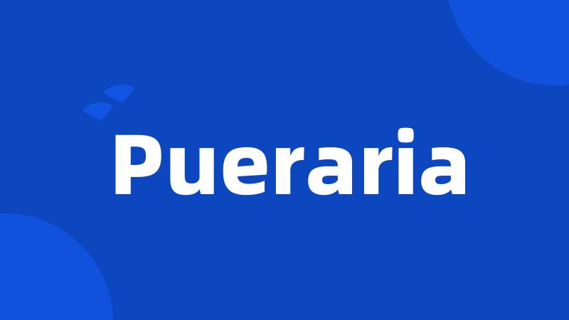 Pueraria