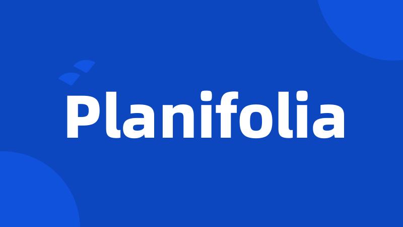 Planifolia