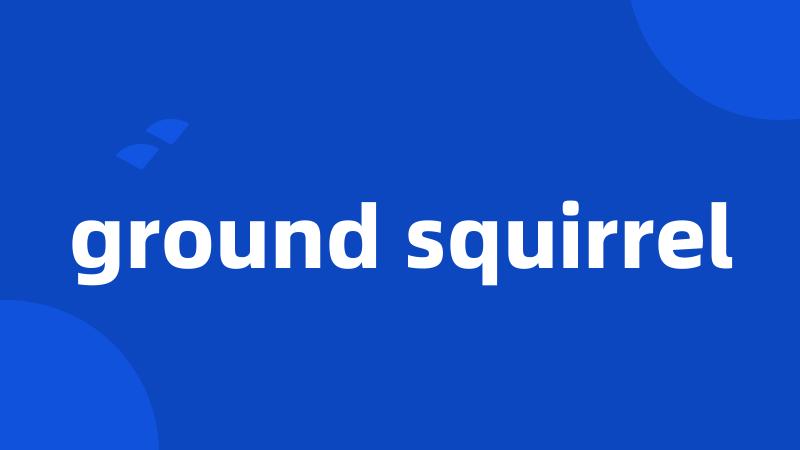 ground squirrel