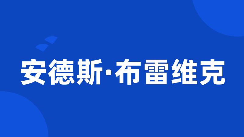 安德斯·布雷维克