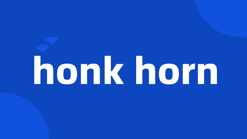 honk horn