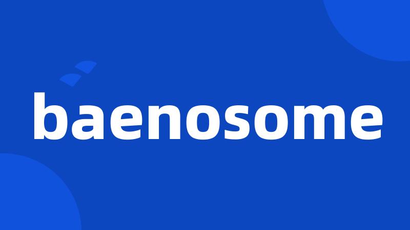 baenosome