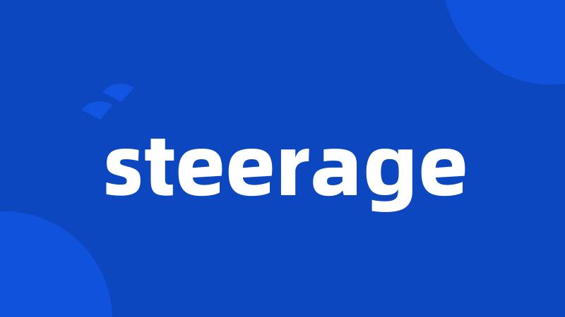 steerage