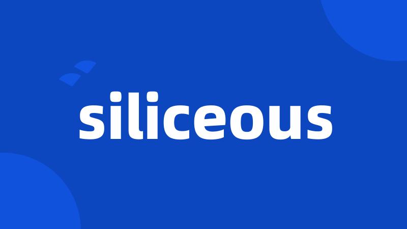 siliceous