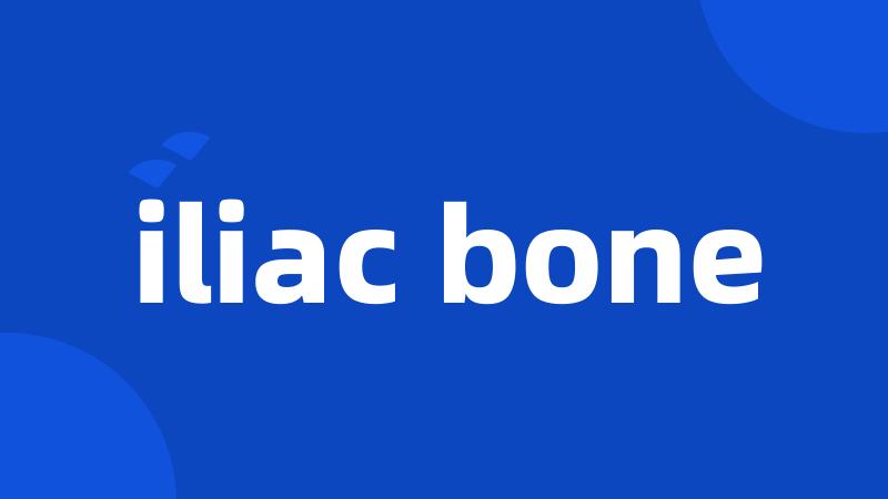 iliac bone