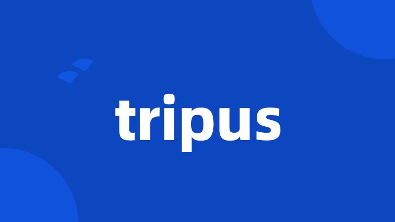 tripus