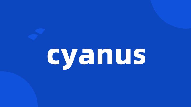 cyanus