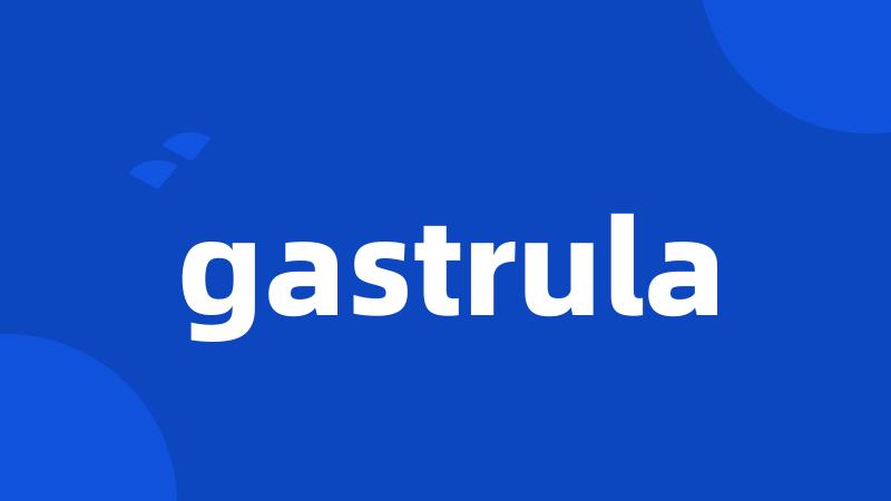 gastrula