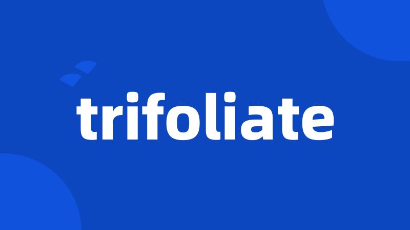 trifoliate