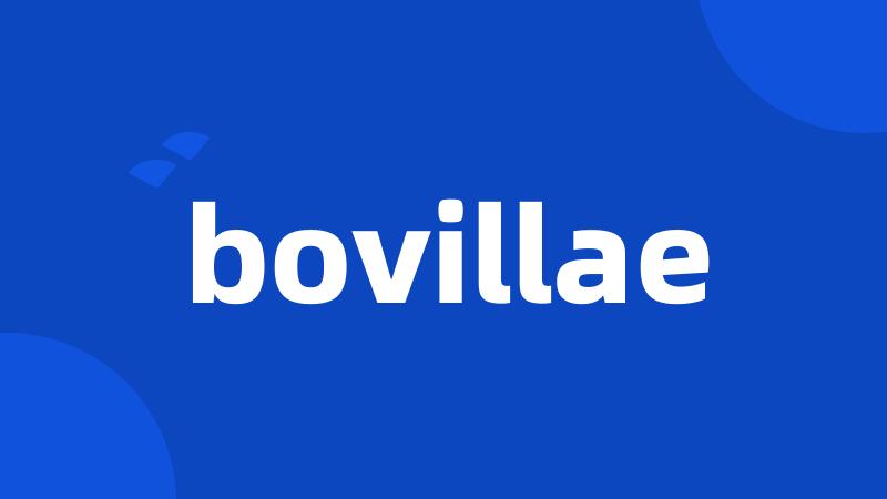 bovillae