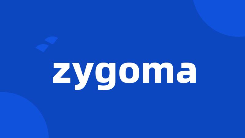 zygoma