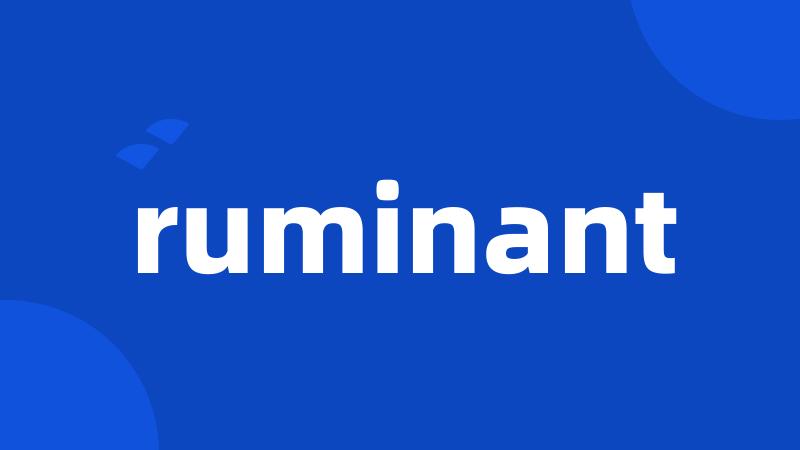 ruminant