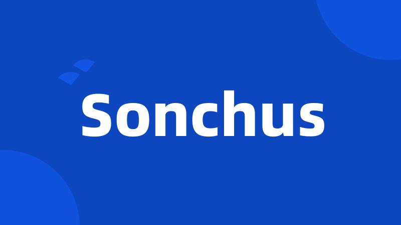 Sonchus