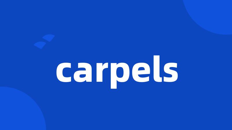 carpels