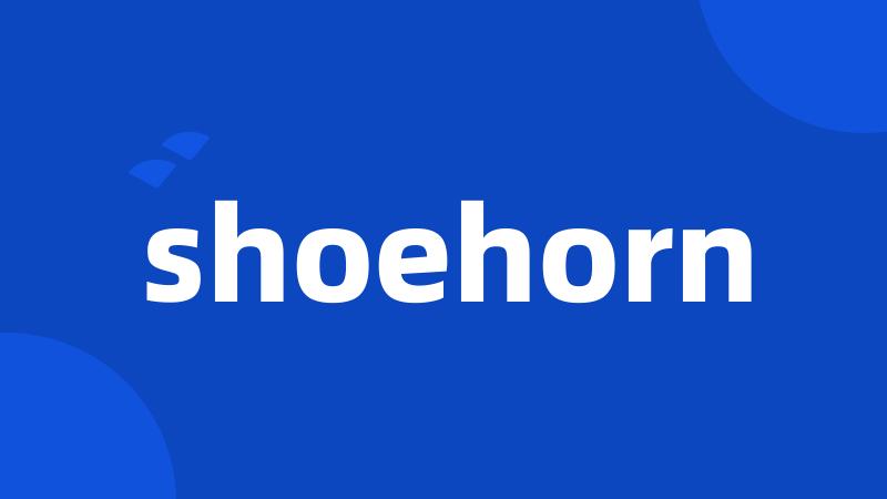 shoehorn