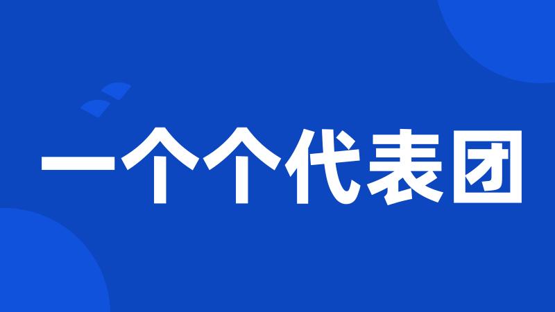 一个个代表团