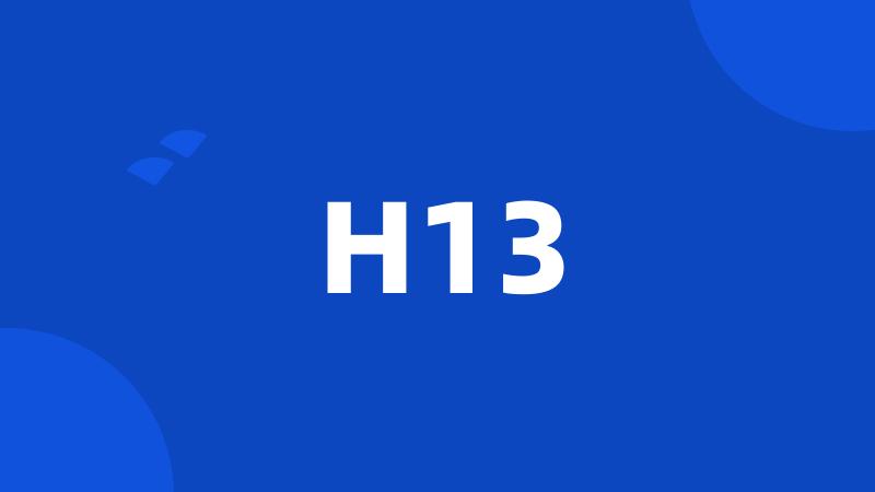 H13