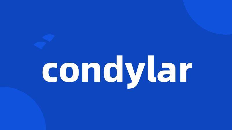 condylar