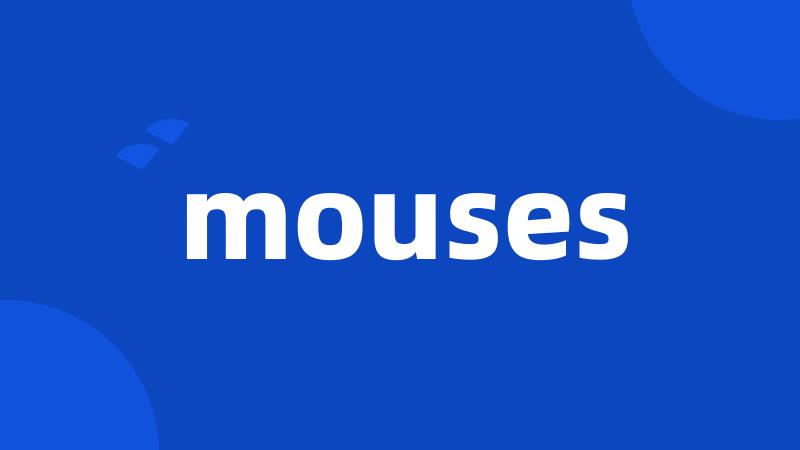 mouses