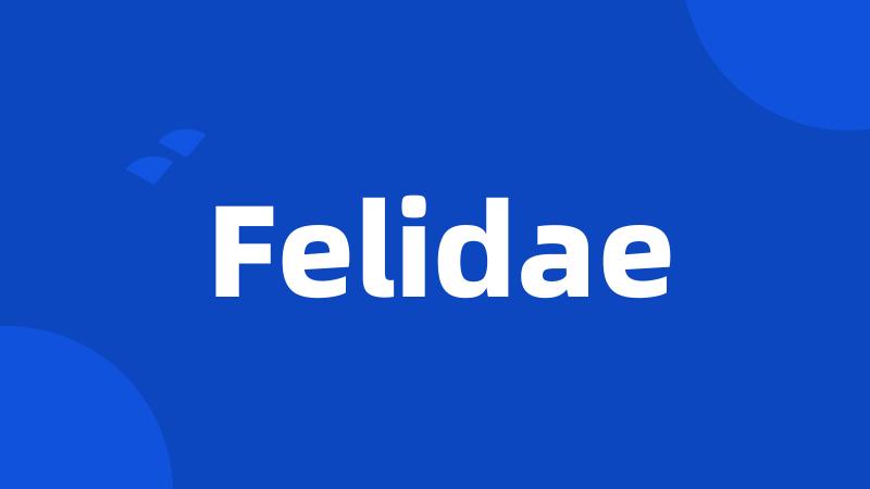 Felidae