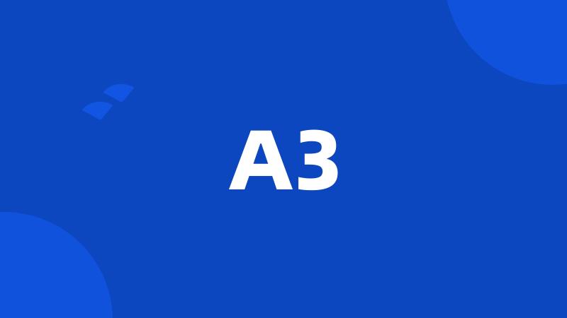 A3