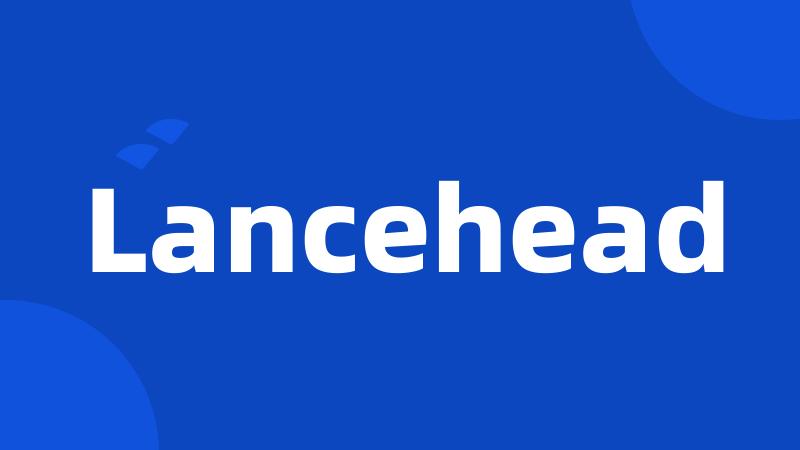 Lancehead