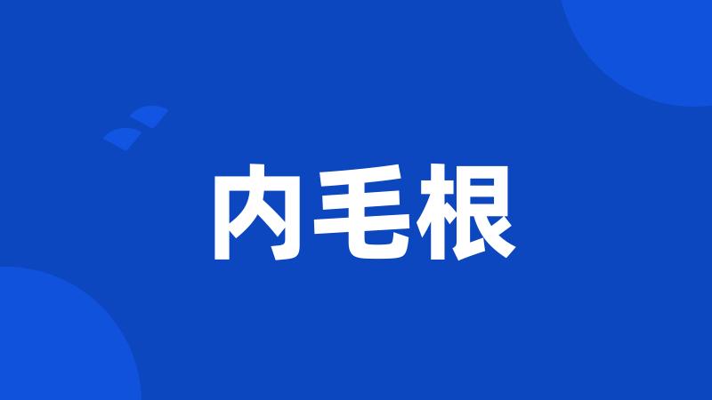 内毛根