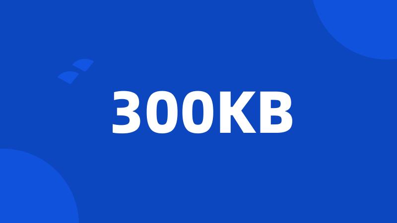 300KB